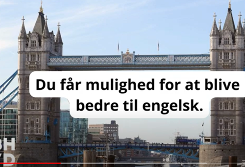 FVU Engelsk Elearning