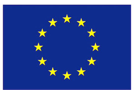 EU Flag