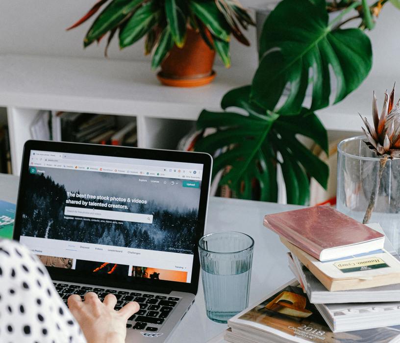 Pexels Shvetsa 3987020